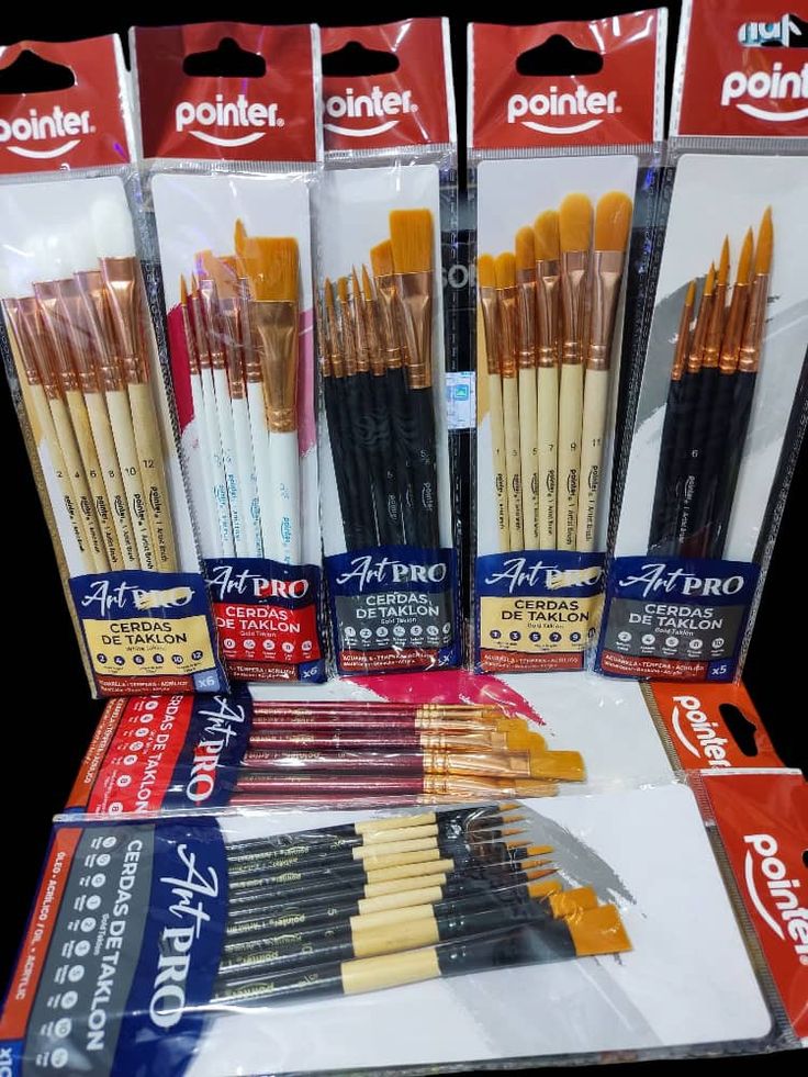 Artist Paint Brush Set